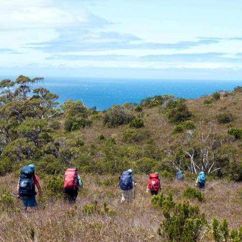 South Coast Track Trekking Tour Remote Tasmanian Bushwalks