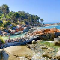 Hikers enjoying a dip at a secluded beach after a 9km coastal walk |  <i>Michael Buggy</i>