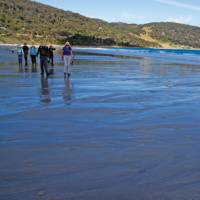 Spectacular coastal walking on Flinders Island | Andrew Bain