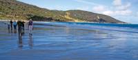 Spectacular coastal walking on Flinders Island | Andrew Bain