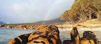 The many colours of Freycinet National Park | Steve Trudgeon