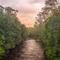 The Pristine Tasmanian Wilderness World Heritage Area. |  <i>Glenn Walker</i>