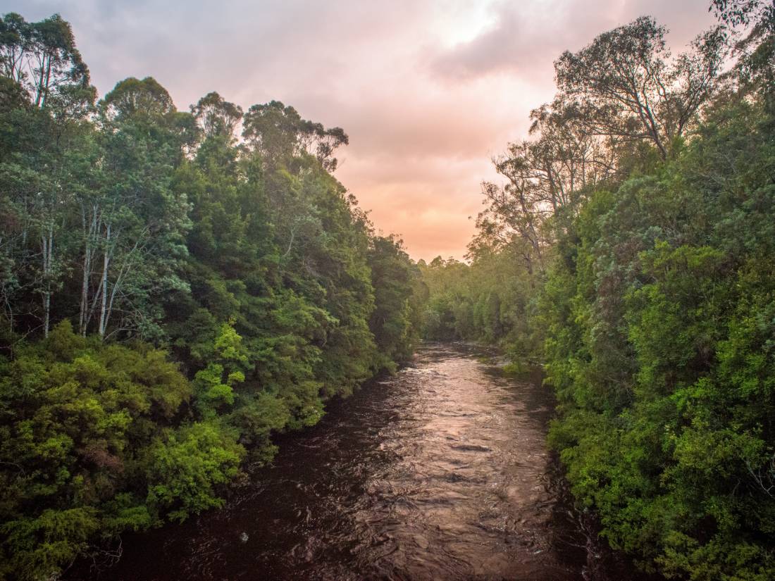 The Pristine Tasmanian Wilderness World Heritage Area. |  <i>Glenn Walker</i>