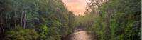 The pristine wilderness of the Franklin River |  <i>Glenn Walker</i>