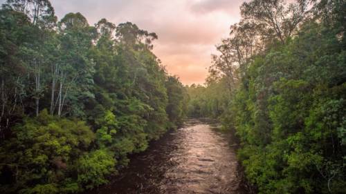 The Pristine Tasmanian Wilderness World Heritage Area.