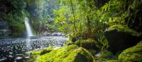 Tranquil scenes on the Franklin River | Glenn Walker