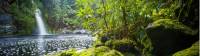 Tranquil scenes on the Franklin River |  <i>Glenn Walker</i>