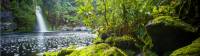 Tranquil scenes on the Franklin River |  <i>Glenn Walker</i>