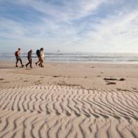 Guests walk along Stephens Bay, a remote beach | Mark Daffey