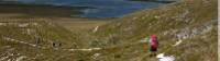 Trekkers walking along a section of the South Coast Track |  <i>Michel Gueneau</i>