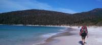 Walking on Wineglass Bay | Lilly Donkers