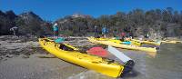 Taking a break from kayaking on Coles Bay | Brad Atwal