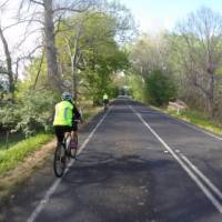 Cycling through the picturesque Tasmanian countryside | Brad Atwal