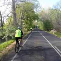 Cycling through the picturesque Tasmanian countryside | Brad Atwal