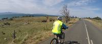 Cycling towards Triabunna along the east coast | Brad Atwal