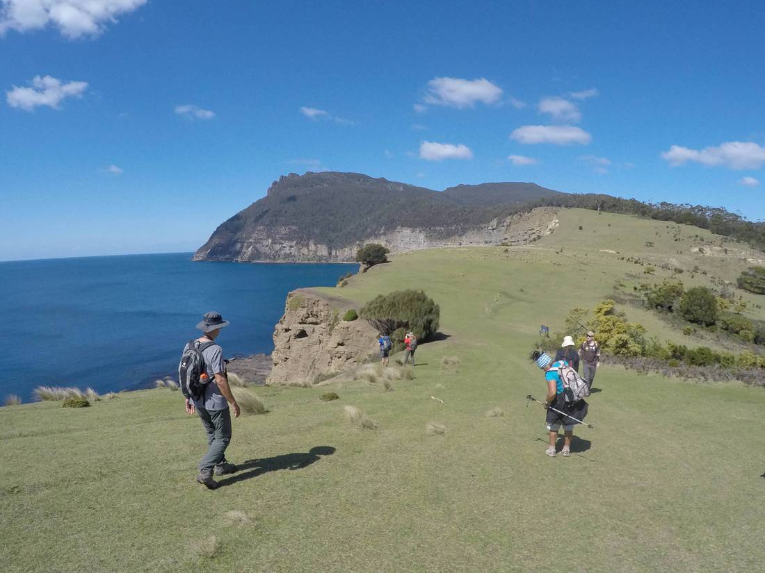 On the trail towards Bishop & Clerk on Maria Island |  <i>Brad Atwal</i>