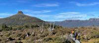 Enjoy the many side walks along the Overland Track, Pellion East in the distance | Brad Atwal