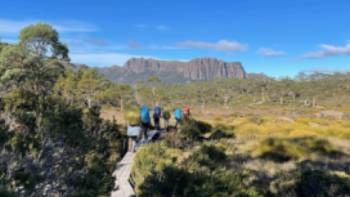 Hiking through Pinestone Valley towards Kia Ora Hut | Brad Atwal