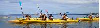 Kayaking in Coles Bay beneath the Hazards |  <i>Ashton Sayer</i>