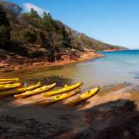 Kayaks resting on a remote Tasmanian beach | Amy Russell