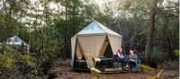 Sleep comfortably in our spacious tents on Flinders Island | Lachlan Gardiner