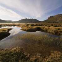 Morning light, Lake Salome | Peter Walton