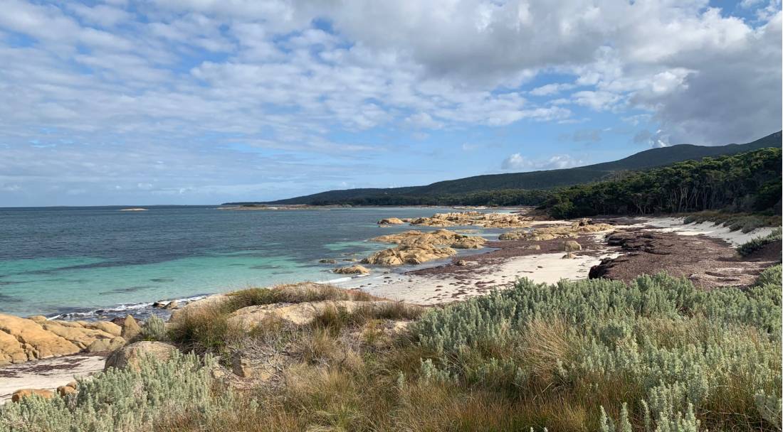 Our exclusive Eco-Comfort Camp on Flinders Island provides nature at your doorstep