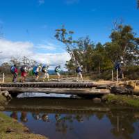 Explore the stunning Maria Island on this guided walk | Tourism Tasmania and Rob Burnett