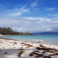 Enjoy a walk along Maria Island's Four Mile Beach | Shelby Pinkerton