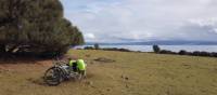 Explore Maria Island at your own pace on a self guided cycling trip | Shelby Pinkerton