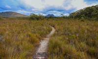 Viewing Mount Solitary from the Port Davey Track |  <i>Tourism Australia & Graham Freeman</i>