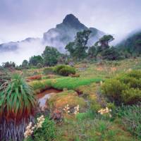 Mount Anne surrounded by mist | Tourism Tasmania & Popp Hackner Photography