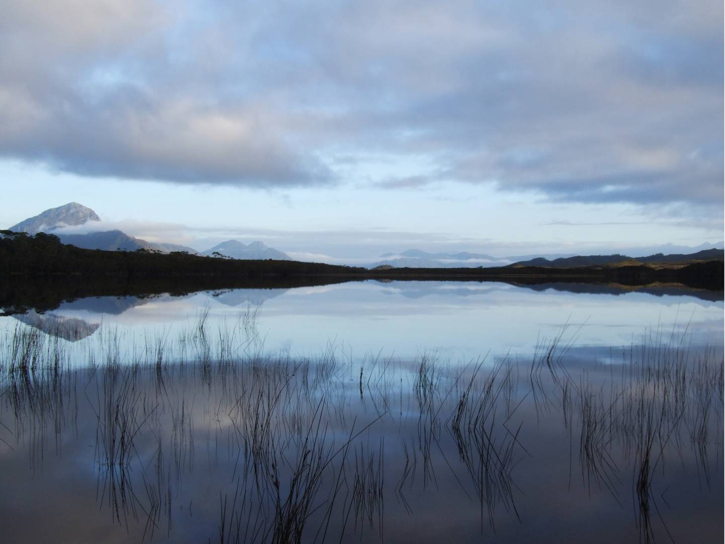 Mt Rugby on the Port Davey Track |  <i>Leon Bedford</i>