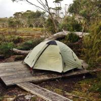 Camping on the Overland Track |  <i>Larissa Duncombe</i>