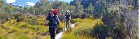 The Overland Track offers well maintained boardwalks to protect the fragile environment |  <i>Chris Buykx</i>