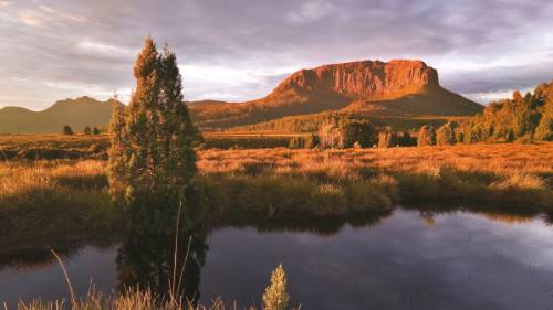 Mount Pellion West, Overland Track