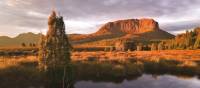 Mount Pellion West, Overland Track | Peter Walton