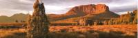 Mount Pellion West, Overland Track |  <i>Peter Walton</i>