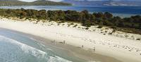 Walking on Riedle Beach, Maria Island