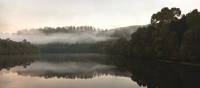 The Pieman River flows through the heart of the Tarkine | Peter Walton