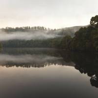 The Pieman River flows through the heart of the Tarkine | Peter Walton