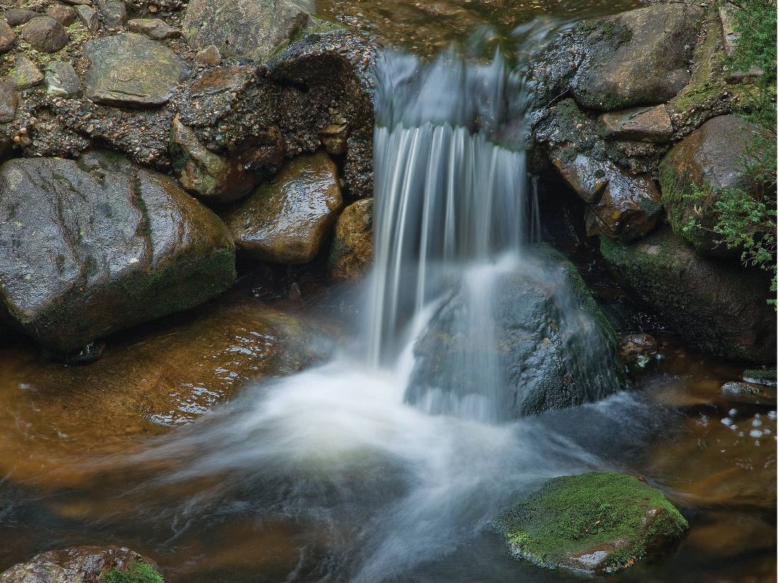 The pristine environs of Tasmania's Tarkine region |  <i>Peter Walton</i>