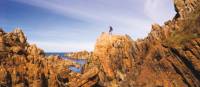 The Tarkine coast of Tasmania's west | Peter Walton