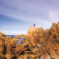 The Tarkine coast of Tasmania's west | Peter Walton