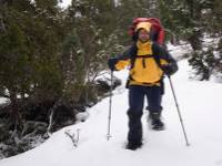 Snowshoeing amongst the Pencil Pines, Walls of Jerusalem |  <i>Aran Price</i>