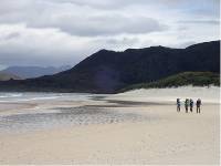 Spectacular beaches abound along the South Coast Track |  <i>Will Barker</i>