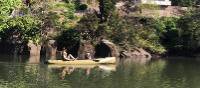 A peaceful canoe trip along the banks of Tasmania's Tamar River