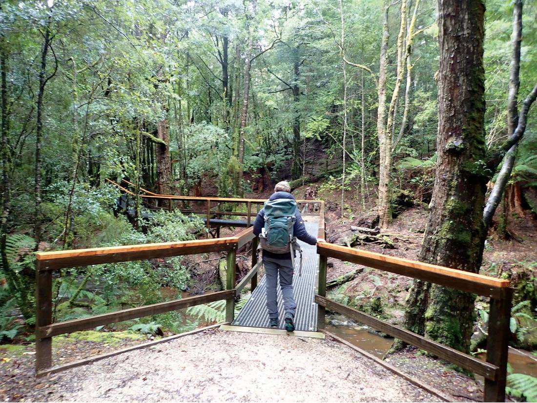 Crossing rivers in the rainforest |  <i>Holly-Mae Bedford</i>