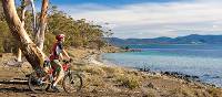 Cycling on Maria Island | Andrew Bain