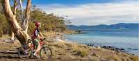 Cycling on Maria Island | Andrew Bain